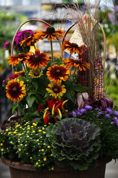 Fall Combos