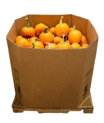 PIE PUMPKIN BIN 