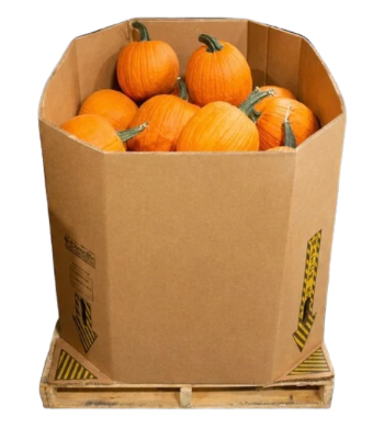 MEDIUM PUMPKIN BIN 