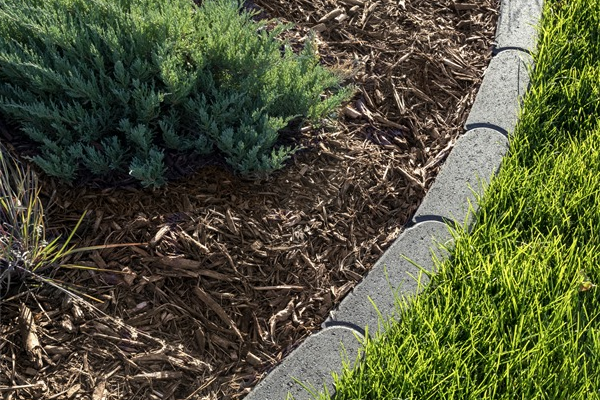 BULLET EDGER BEECHWOOD