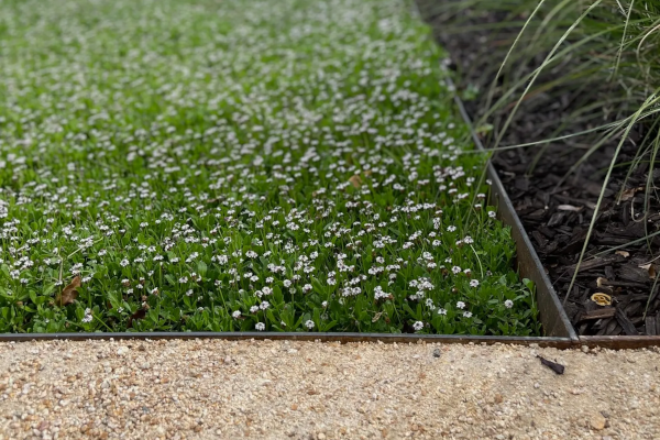 4\"X10� BORDER LINE EDGING BORCON