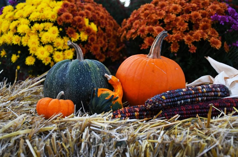 Fall Decor