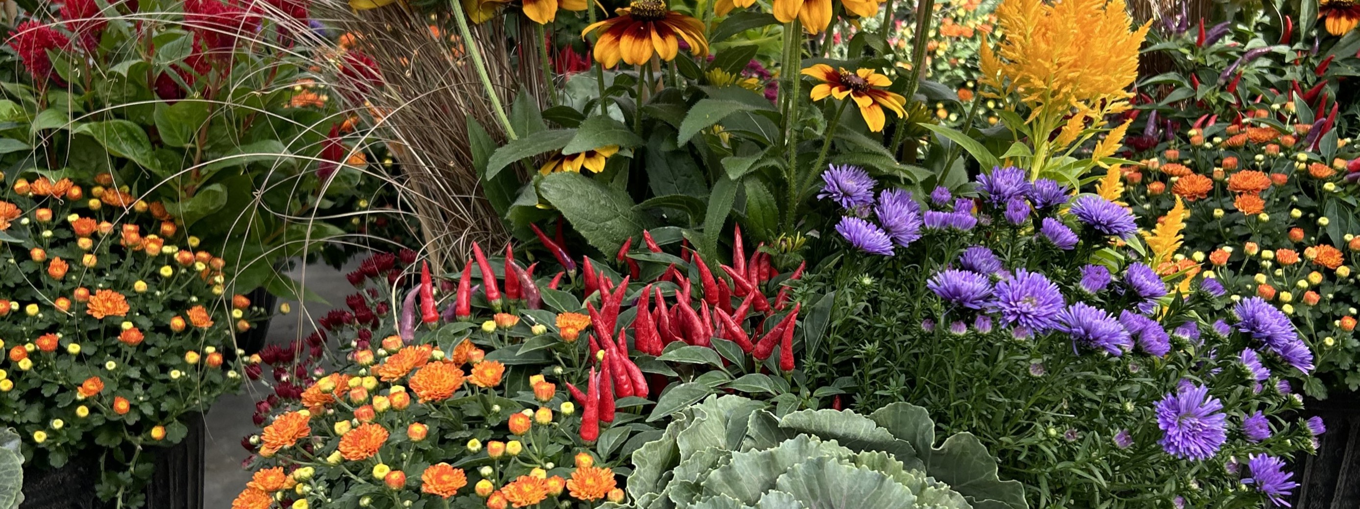 Fall Combos
