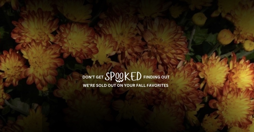 Fall Annuals