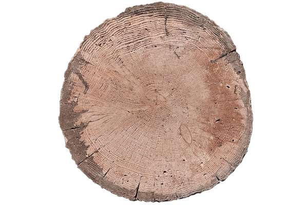18" ELDORADO TREE ROUND