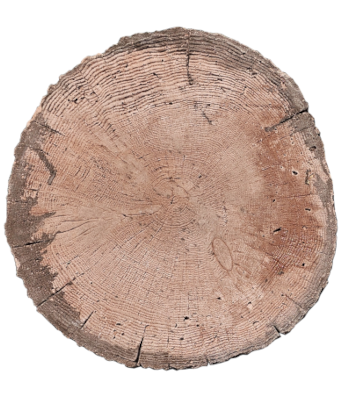 18" ELDORADO TREE ROUND