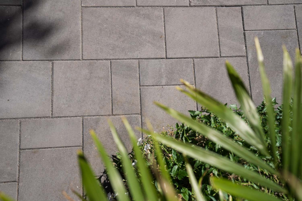SILHOUETTE 3PC FLINT FM