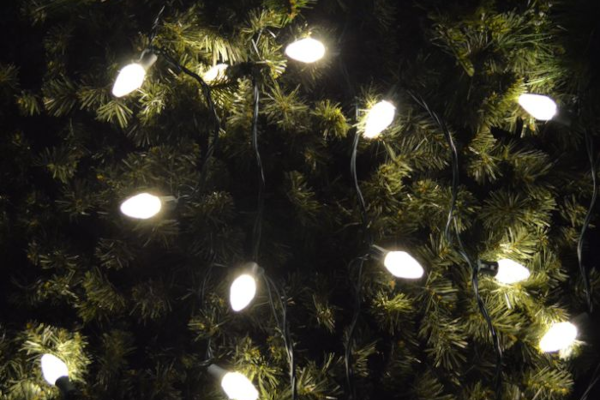 LED C7 25L WARM WHITE - WHITE CORD 