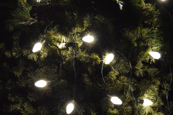 LED C7 25L WARM WHITE