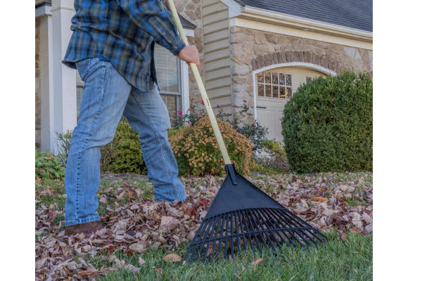 POLY LEAF RAKE 22\" HEAD WOOD HANDLE