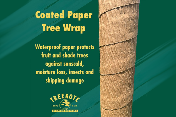 TREEKOTE PAPER TREE WRAP 3\"X50\'