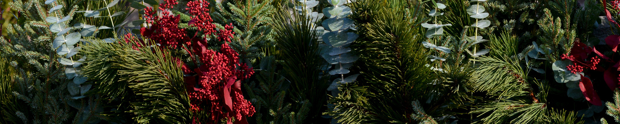 Pine Cone Accents