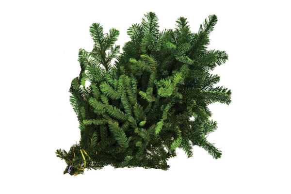 FRASIER FIR BOUGHS BULK PER LB