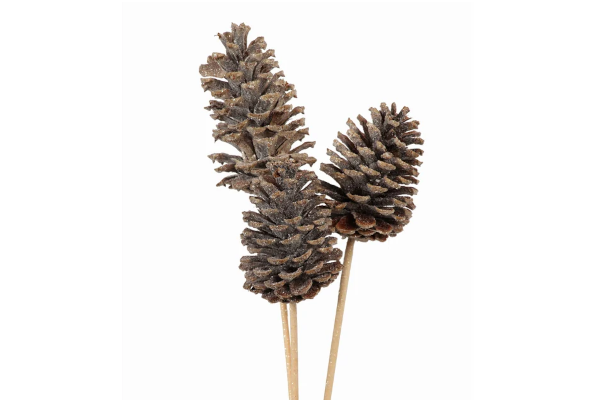 PINE CONE NATURAL GLITTER - EACH