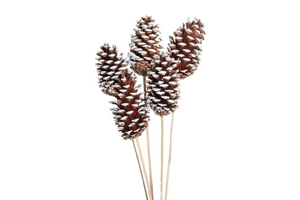 PINE CONE STAKE WHITE TIPPED
