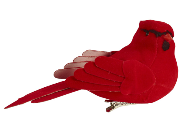 CARDINAL LARGE
