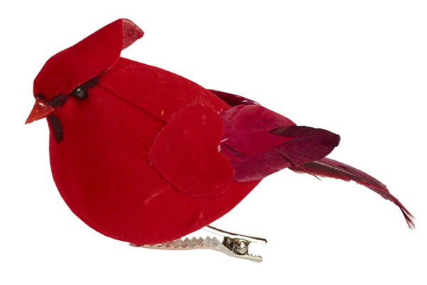 CARDINAL SMALL