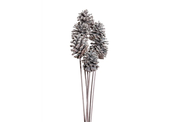 PINE CONE STAKE WHITE NO GLITTER