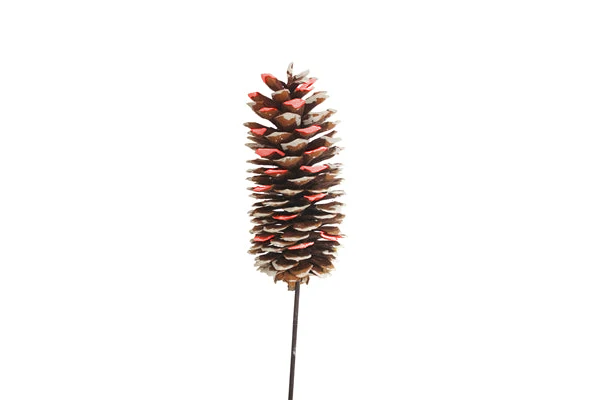 SUGAR CONE STAKE RED WHITE TIP