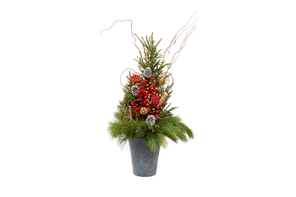 SPRUCE TIP POT - TRADITIONAL HOLIDY GLITZ RED & GOLD