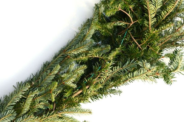 GARLAND - FRASER FIR ROPING 50�