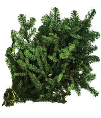 FRASIER FIR BOUGHS BULK PER LB
