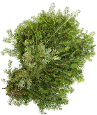 BALSAM BOUGHS BULK PER LB