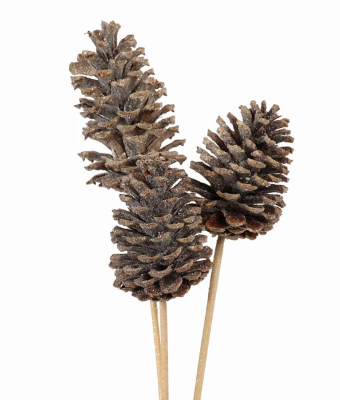 PINE CONE NATURAL GLITTER - EACH