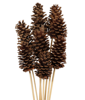 PINE CONE STAKE NATURAL