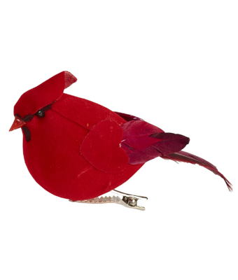 CARDINAL SMALL