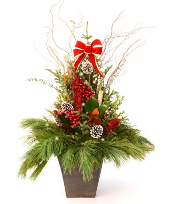SPRUCE TIP POT - GLOWING GRANDE ENTRANCE