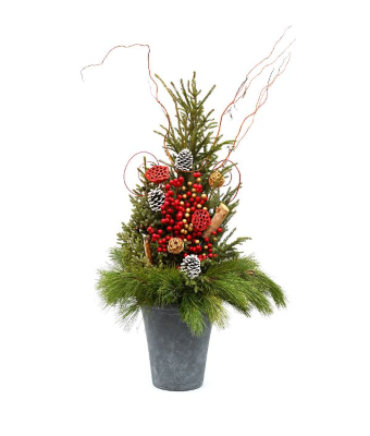 SPRUCE TIP POT - TRADITIONAL HOLIDY GLITZ RED & GOLD