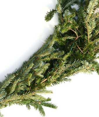 GARLAND - FRASER FIR ROPING 50�