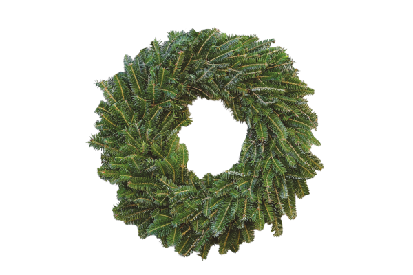 WREATH - FRASER FIR 24"