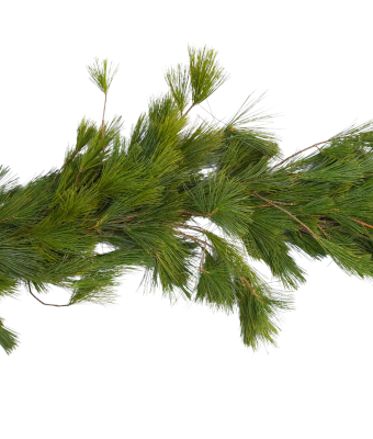 GARLAND - RED PINE 25�