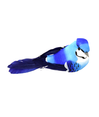 BLUE JAY LARGE