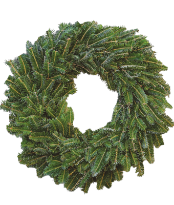 WREATH - FRASER FIR 24"