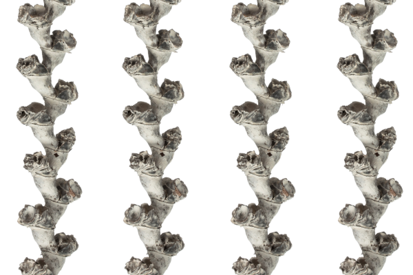 LADDER BRANCHES 40-48\" FROSTED WHITE
