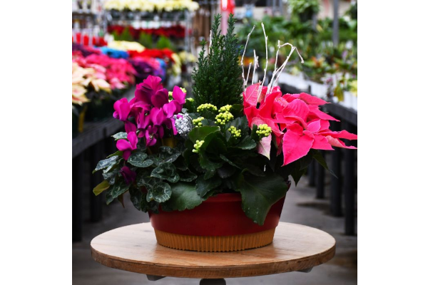 BRILLIANT BLOOMS BOWL