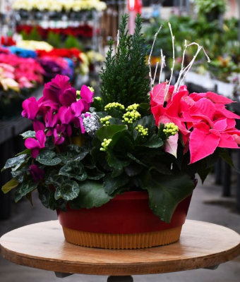 BRILLIANT BLOOMS BOWL